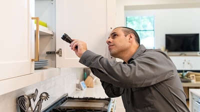 Home Pest Control in Cookeville, TN